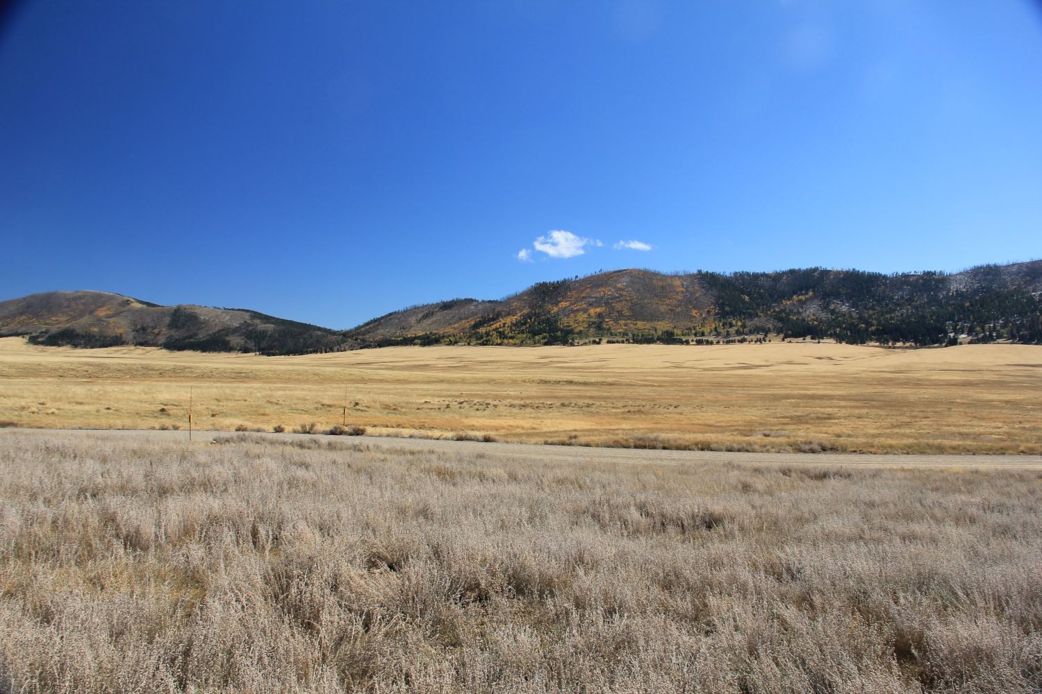 Valles Caldera National Preserve 